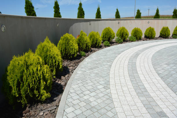 Best Driveway Paving Near Me  in Pioneer Village, KY